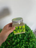 Exfoliante Corporal