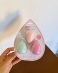 Set de esponjas x3
